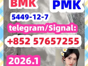 BMK pmkGlycidic Acid sodium salt CAS 5449 - 12 - 7