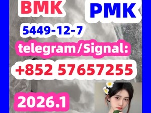 BMK Glycidic Acid sodium salt CAS 5449 - 12 - 7