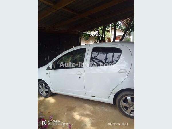 Panda for Rent