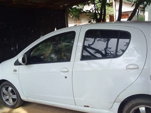 Panda for Rent