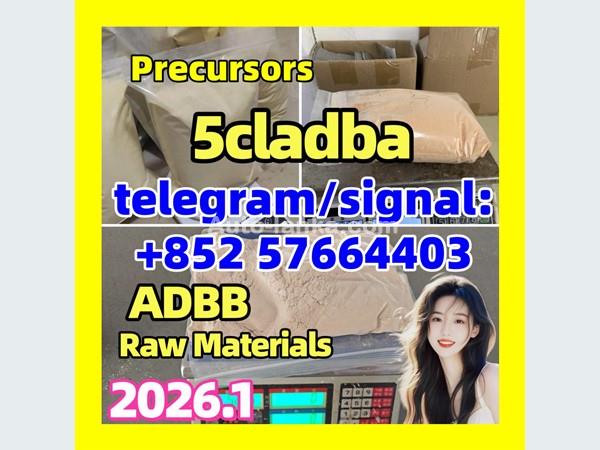 Strongest 5cladba raw material 5CL-ADB-A precursor powder and liquid
