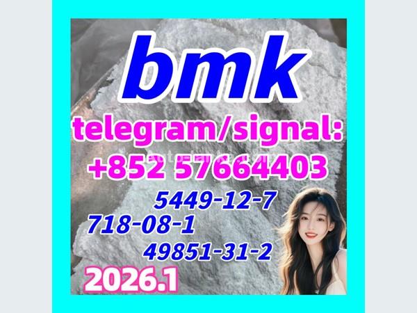 CAS 5449-12-7 Best Selling BMK Glycidic Acid