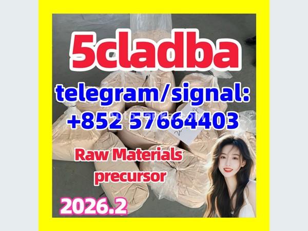 Top Quality adbb 5cladba Best cannabinoid 5cl-adba precursor raw material
