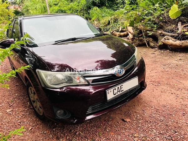 Toyota Axio Car For Rent