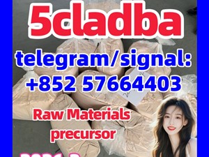 5cl-adb Powder Supplier 5cl Adb 5cladba In Stock at Best Price