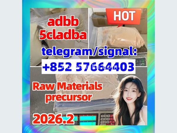 Strongest 5cladba raw material 5CL-ADB-A precursor powder and liquid