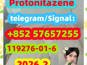 Quality assurance Protonitazene cas 119276-01-6