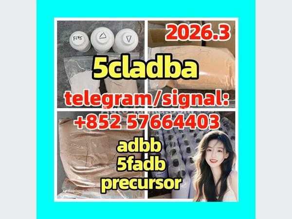 5cladba raw material 5CL-ADB-A precursor raw 5cladba 5f adb