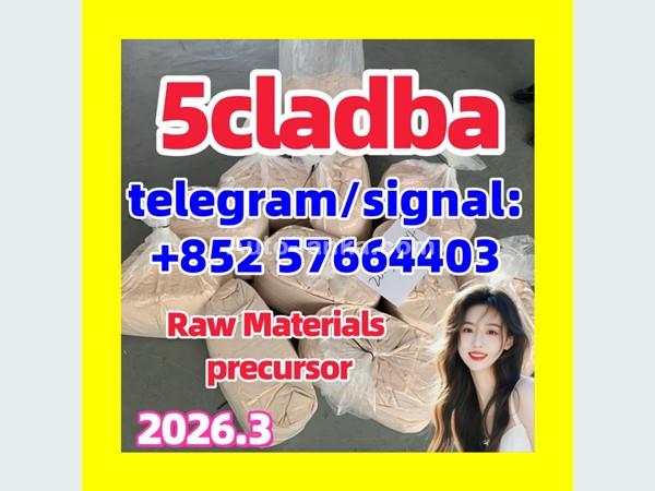 5cl 5cladba best cannabinoid 5cladba precursor raw 5cl-adb-a