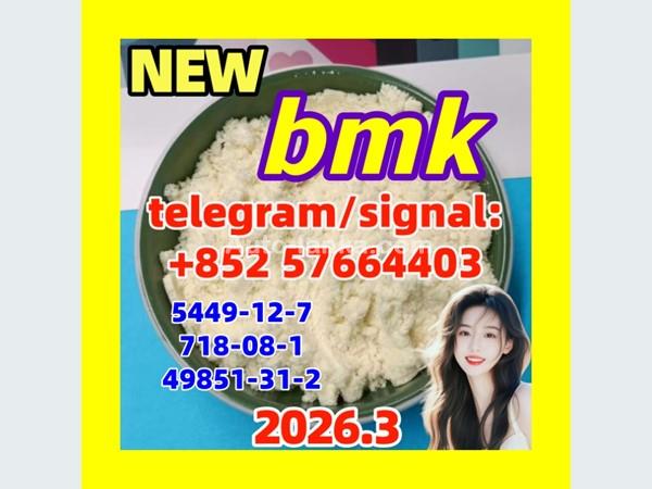 cas 5449-12-7 BMK Powder glycidate Bmk Glycidic Acid