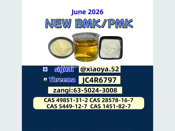 Original Factory 28578-16-7 49851-31-2 BMK PMK Supply 5449-12-7