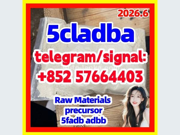 Strongest 5cladba raw material 5CL-ADB-A precursor powder and liquid