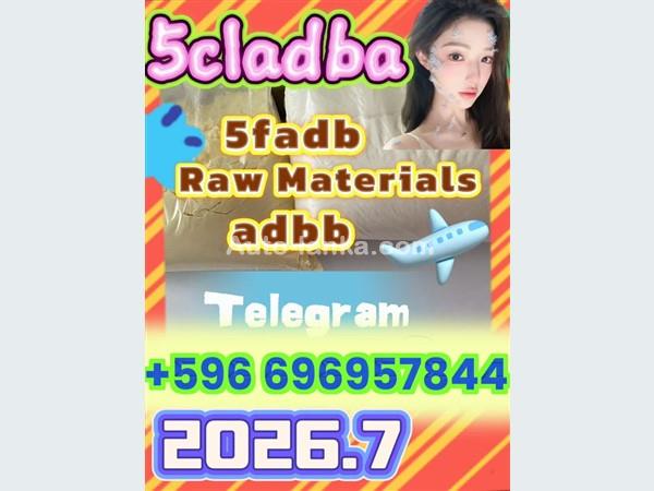 From China 5cl-adb Supplier 5cl 5cladba 5cl Adb Vendor Precursor On Sale By Shanghai Jingwu