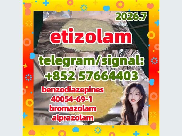etizolam 40054-69-1