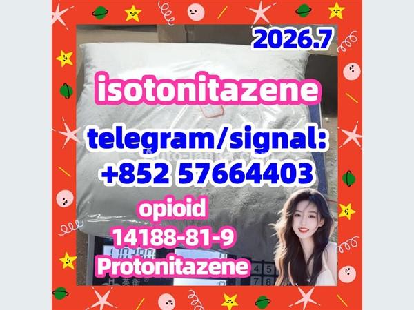 Isotonitazene | 14188-81-9