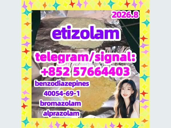 etizolam 40054-69-1  benzodiazepines