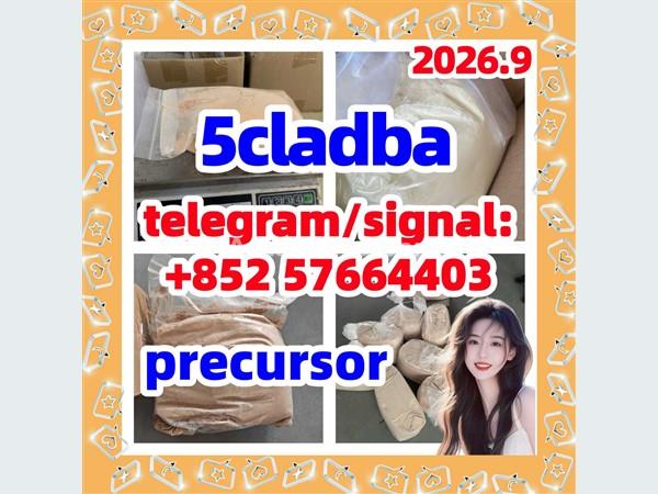 5cladba-precursor-bulk-china-supplier-coa -