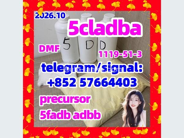 5 c l a d b a at ₹ 1800/piece | Laboratory