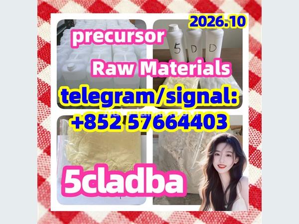 5CLADBA Precursor For Sale 2026