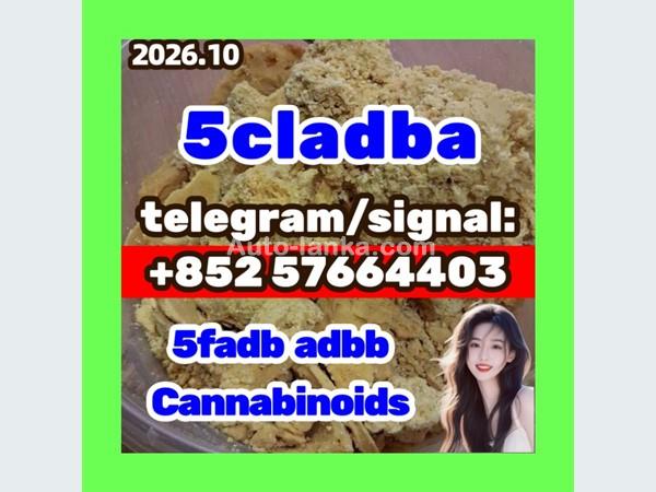 top Quality 5cladba precursor  Raw Materials In Stock